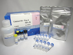 細胞内カルシウムイオン測定キット Calcium Kit - Fluo 4　同仁化学研究所
