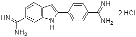 死細胞染色色素 -Cellstain&reg;- DAPI solution　同仁化学研究所