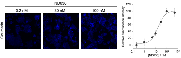 FAOBlue                              可荧光定量活细胞的脂肪酸β-氧化（FAO）活性的试剂