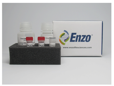 溶酶体细胞毒理检测试剂盒                              Lyso-ID® Red cytotoxicity kit