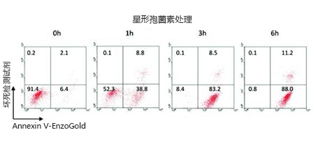 GFP-CERTIFIED® 细胞凋亡/坏死检测试剂盒                              GFP-CERTIFIED® Apoptosis/Necrosis detection kit