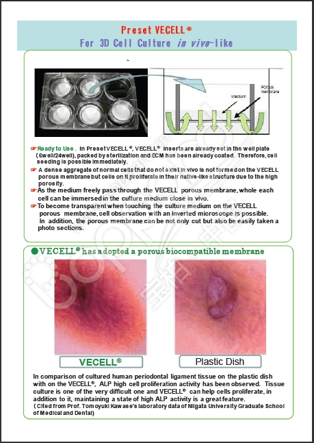 VECELL® 3D细胞培养板                              VECELL® 3D Cell Culture Plate