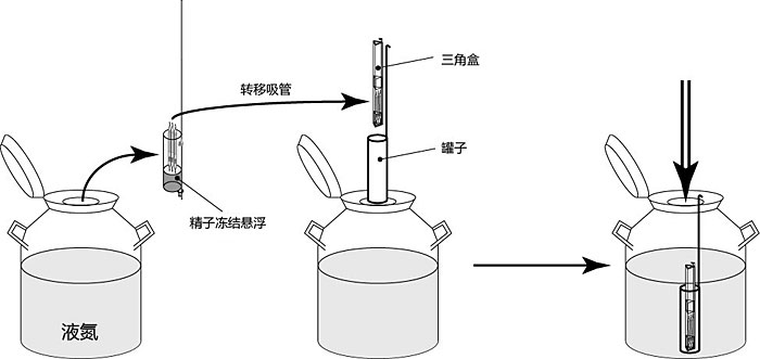 FERTIUP® 和CARD MEDIUM® 配件                              FERTIUP®  &CARD MEDIUM®  Peripheral Products