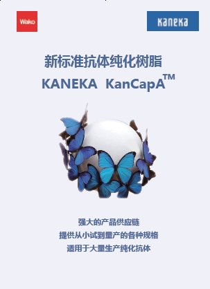 KANEKA KanCapA™                              新标准　抗体纯化树脂