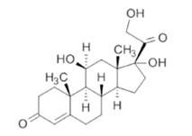 肾上腺皮质激素