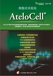 胶原蛋白酸性溶液 I-PC、I-AC                              Atelocollagen/Native Collagen Acidic Solutions