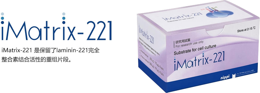 iMatrix-221                              用于纯化和维持心肌细胞的细胞外基质