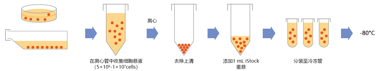 iStock                              人来源细胞冻存液