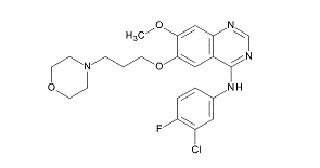 EGFR 酪氨酸激酶抑制剂——吉非替尼                              癌症研究相关试剂