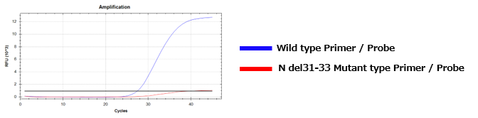 SARS-CoV-2 N del31-33 突变检测试剂盒                              SARS-CoV-2 N del31-33 Mutation Detection Kit