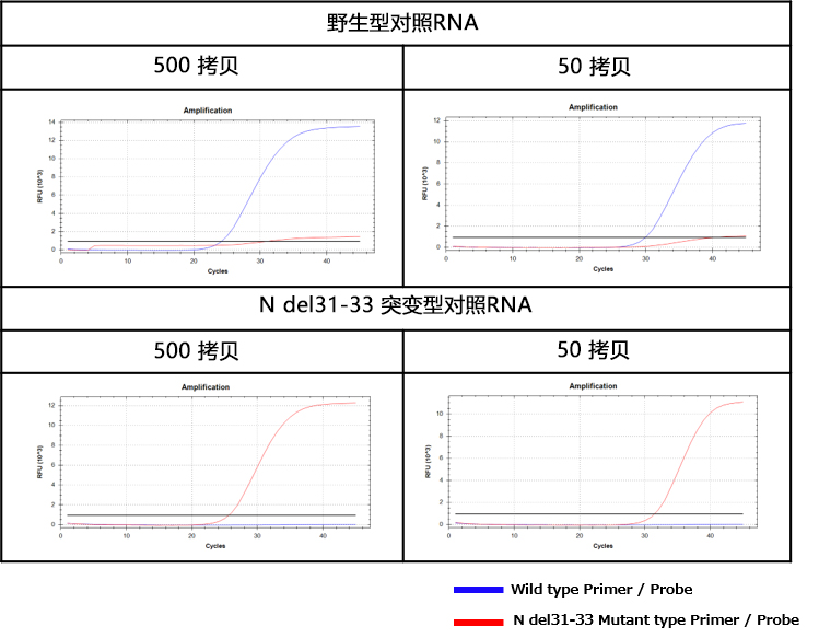 SARS-CoV-2 N del31-33 突变检测试剂盒                              SARS-CoV-2 N del31-33 Mutation Detection Kit