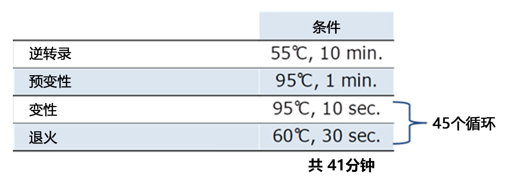 SARS-CoV-2 N del31-33 突变检测试剂盒                              SARS-CoV-2 N del31-33 Mutation Detection Kit