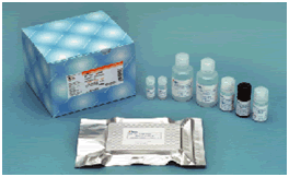 β-Amyloid ELISA 试剂盒                              β-Amyloid ELISA kit