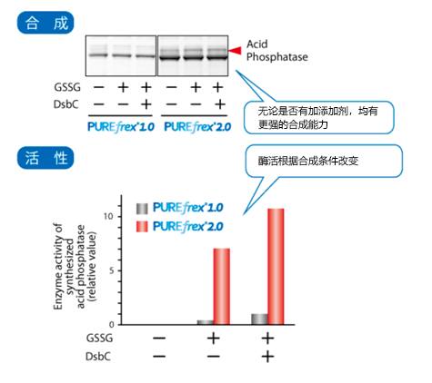 重组无细胞蛋白合成系统                              PUREfrex® 2.0