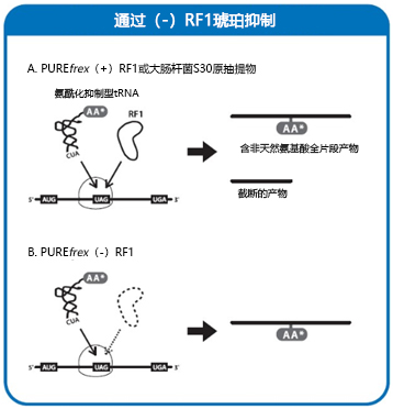 PUREfrex® 定制试剂盒