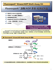 Fluorospark® 激酶/ADP 多重-检测试剂盒                               Fluorospark® Kinase/ADP Multi-Assay Kit