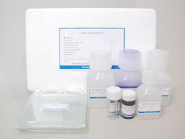 明胶酶谱试剂盒（COSMOBIO）                              Gelatin Zymography Kit(COSMOBIO)