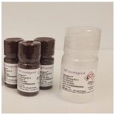 StemAb™ 干细胞用碱性磷酸酶染色试剂盒