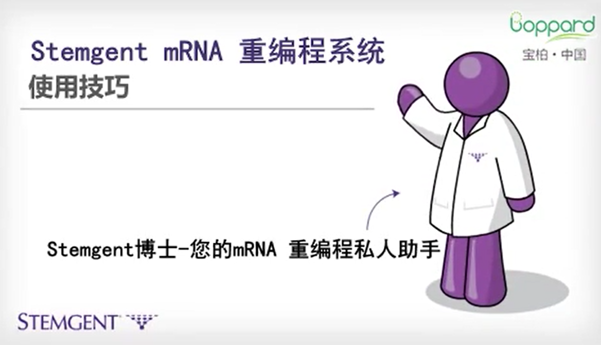 Stemgent® mRNA 重编程试剂盒                              Stemgent® mRNA Reprogramming Kit