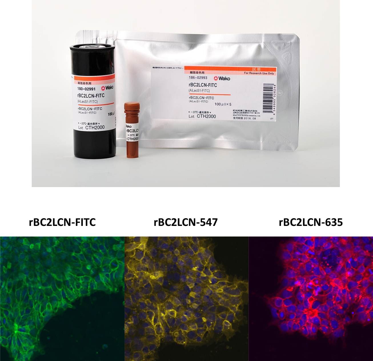 JACS：新型有机荧光纳米温度计用于非侵入式温度传感 - 科技前沿 - 颗粒在线