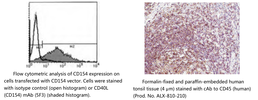 间充质干细胞标记物                              Mesenchymal Stem Cell Markers