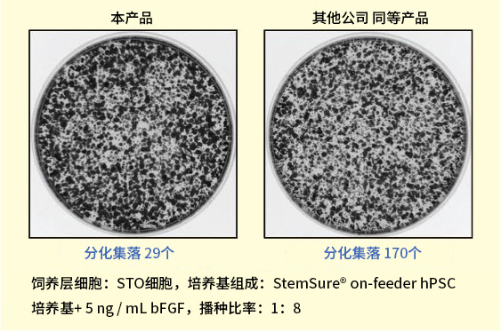 StemSure® on-feeder hPSC培养基                              人ES/iPS细胞培养用液体培养基