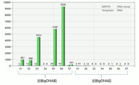 gDNA removal kit                              从RNA提取物中快速、完全去除gDNA