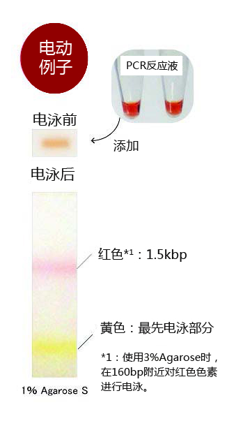 Hot-Start Gene RED PCR Mix