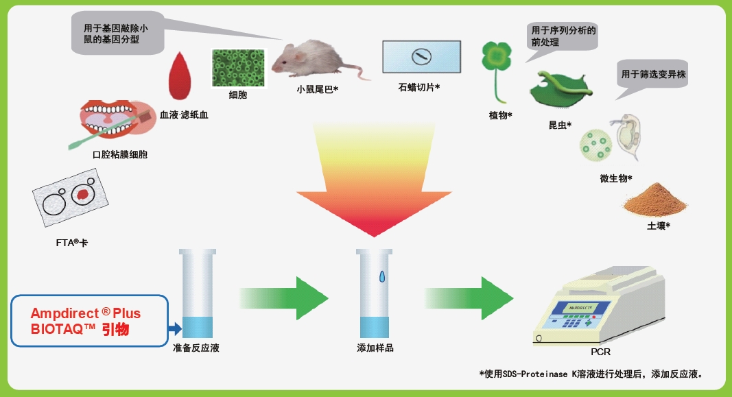 新型 PCR 扩增缓冲液                              Ampdirect®Gene Amplification