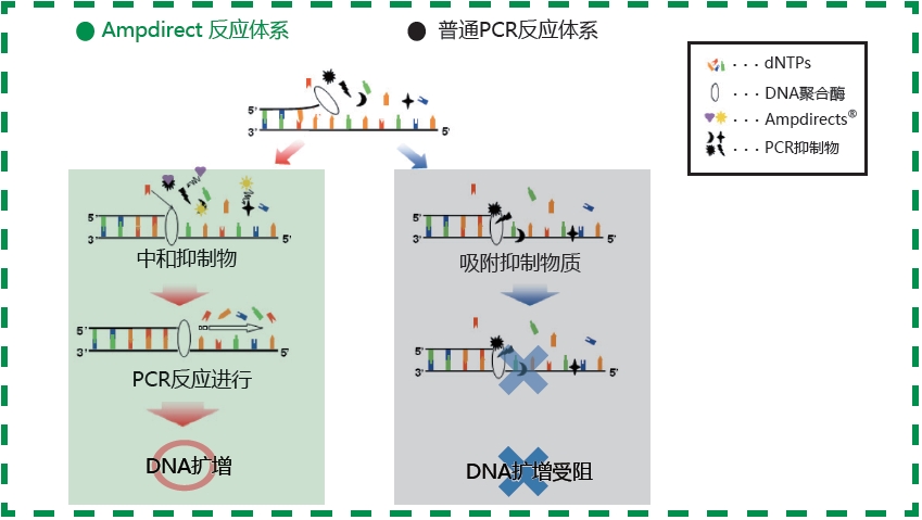 新型 PCR 扩增缓冲液                              Ampdirect®Gene Amplification
