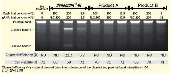 GenomONE ®- GE EX                              Cas9 蛋白/gRNA 转染试剂