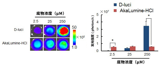 1615344090223012.jpg AkaLumine-HCl(TokeOni) 实现生物体内部深处成像