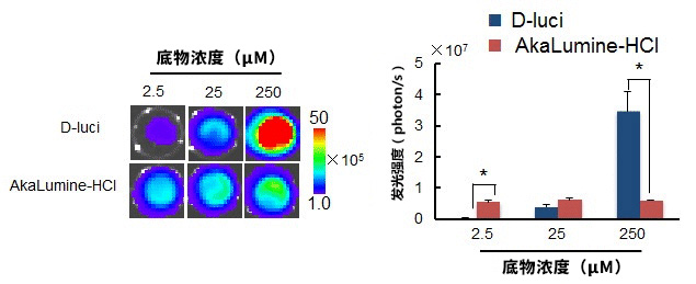 AkaLumine-HCl（TokeOni）                              实现生物体内部深处成像