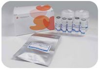 粘蛋白检测试剂盒                              Mucin Assay Kit