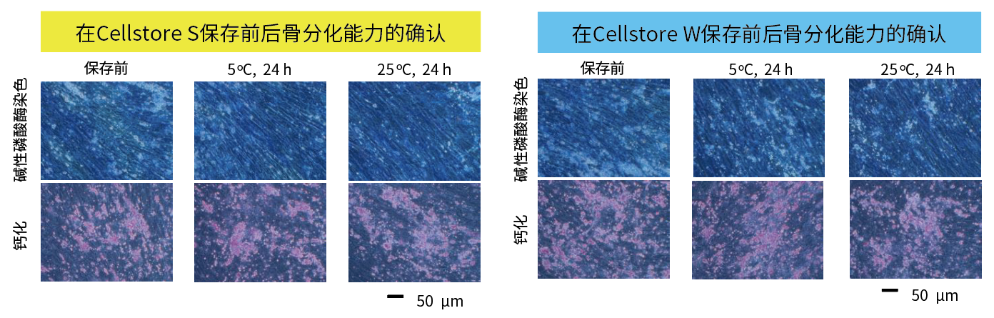 Cellstor S • Cellstor W                              室温/冷藏条件下进行细胞的运输和短期保存！