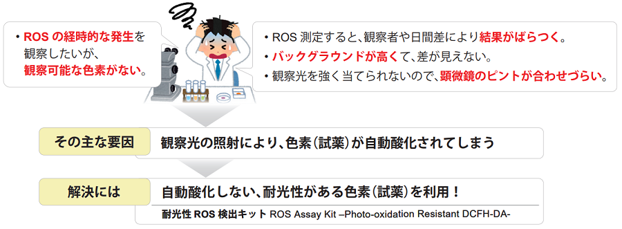 耐光性トータルROS検出キット ROS Assay Kit -Photo-oxidation Resistant DCFH-DA-　同仁化学研究所