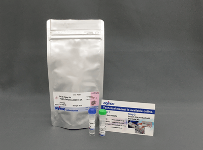 耐光性トータルROS検出キット ROS Assay Kit -Photo-oxidation Resistant DCFH-DA-　同仁化学研究所