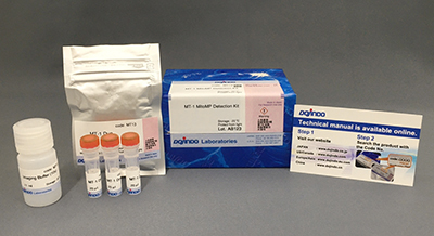 耐光性トータルROS検出キット ROS Assay Kit -Photo-oxidation Resistant DCFH-DA-　同仁化学研究所