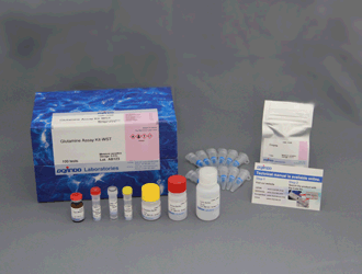 グルタミン測定キット Glutamine Assay Kit-WST　同仁化学研究所