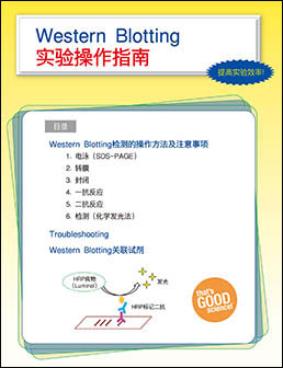 Western BLoT Quant HRP Substrate