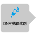 PrimeSTAR&reg; GXL DNA Polymerase