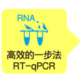 One Step TB Green&reg; PrimeScript&trade; PLUS RT-PCR Kit(Perfect Real Time)