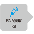 One Step TB  Green&reg; PrimeScript&trade; RT-PCR Kit (Perfect Real Time)