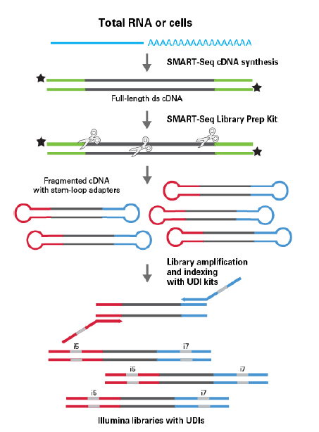 SMART-Seq Single Cell Kit & SMART-Seq Single Cell PLUS Kit