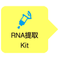 TaKaRa MiniBEST Universal RNA Extraction Kit