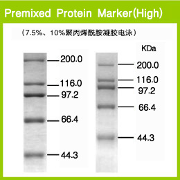 Premixed Protein Marker (High)