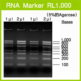 RNA Marker RL1,000
