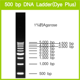 500 bp DNA Ladder (Dye Plus)