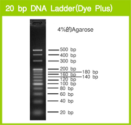 20 bp DNA Ladder (Dye Plus)