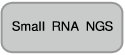 Tet诱导型 miRNA
